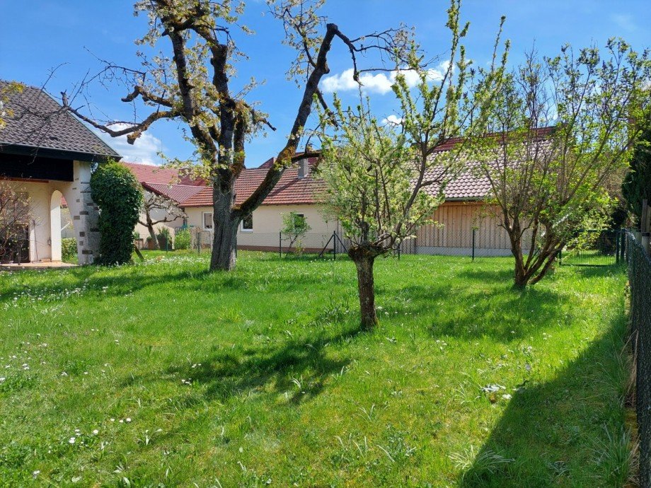 Westseite Einfamilienhaus Adelberg