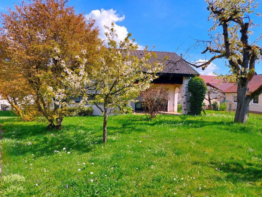 Garten S�dwestseite Einfamilienhaus Adelberg