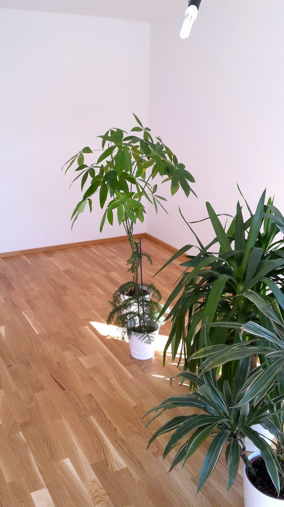 BV-Ausstattungsmuster Doppelhaush�lfte Schorndorf