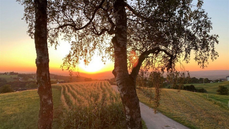 Blick Haube Haus-Giebel zwischen den B�umen Einfamilienhaus Rudersberg , W�rtt