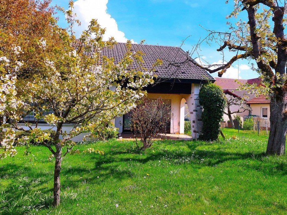 Garten mit altem Baumbestand Einfamilienhaus Adelberg