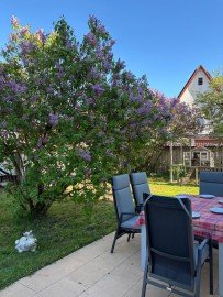 Hauptbild *-Top-Preis und Haus-Angebot-!*Klasse Zweifam.-Haus mit herrlicher Gartenterrasse!
