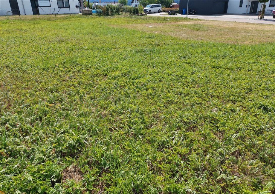 Top-Wohnlage und kurzfristig bebaubar! Wohngrundst�ck Lorch , W�rtt