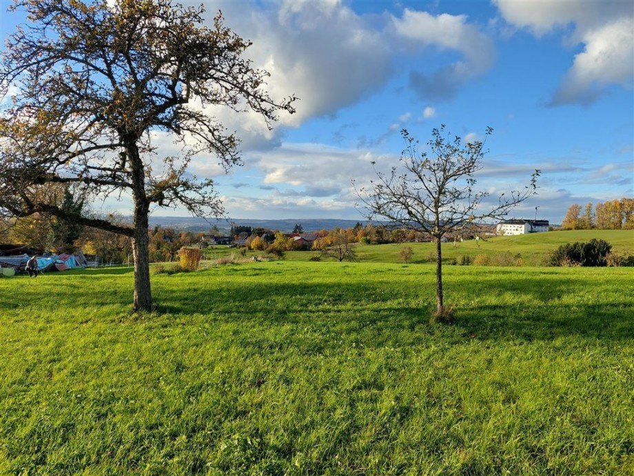 Aussicht angrenzende Wiesen Einfamilienhaus Rudersberg , W�rtt