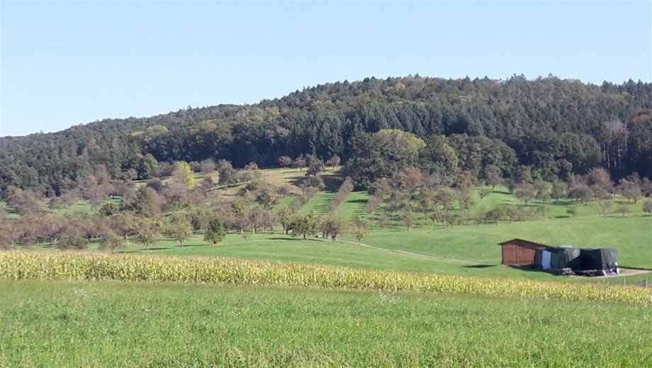 Natur_als_Nachbar Wohngrundst�ck Rudersberg , W�rtt