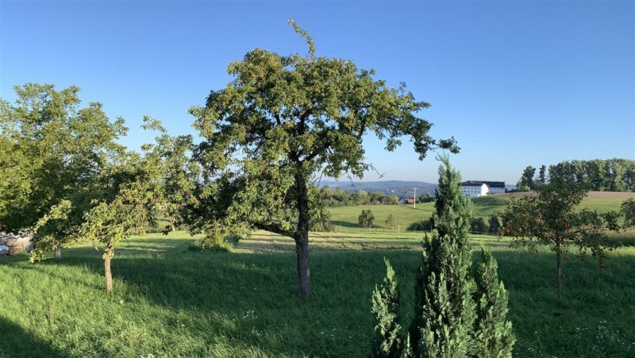 Blick aus Esszimmerfenster EG Einfamilienhaus Rudersberg , W�rtt