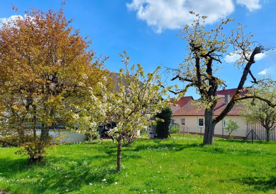 Bl�hender Garten Einfamilienhaus Adelberg